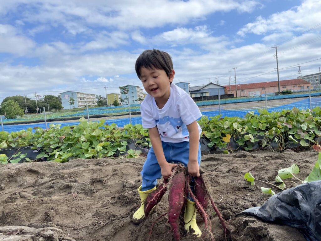 移住体験ができる宿泊の魅力とおすすめのスポット