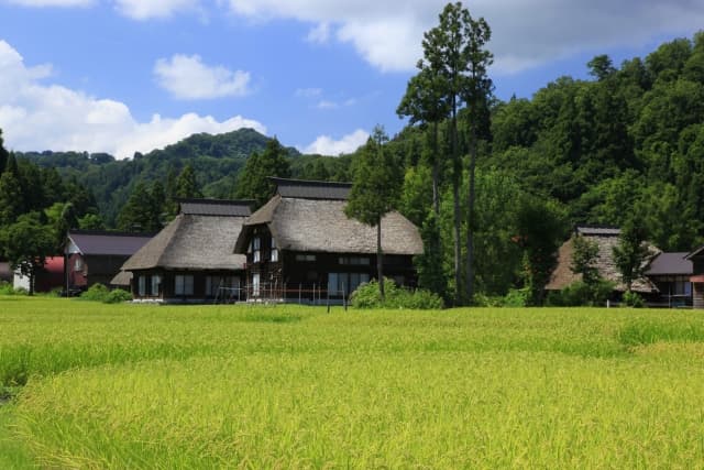 新潟県に移住！自然と食の楽しみ方・サポート・子育て環境とは